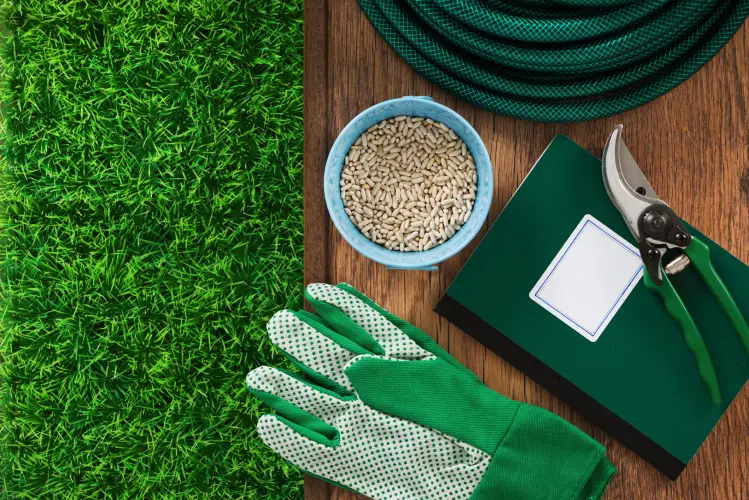 Lawn Fertilization in St. George, UT - Landscaper