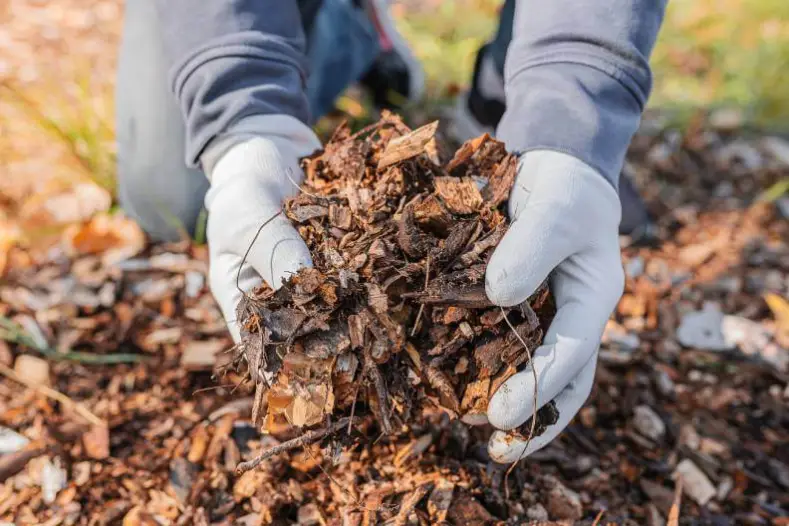 Mulching in St. George, UT - Landscaper