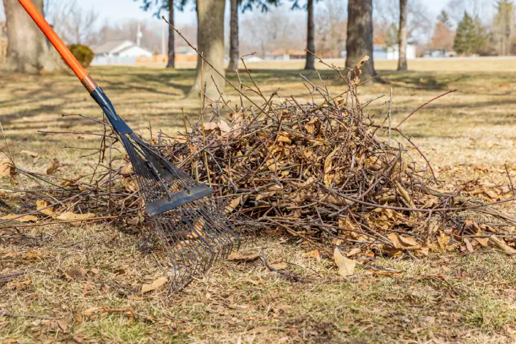 Yard Cleanup St. George, UT