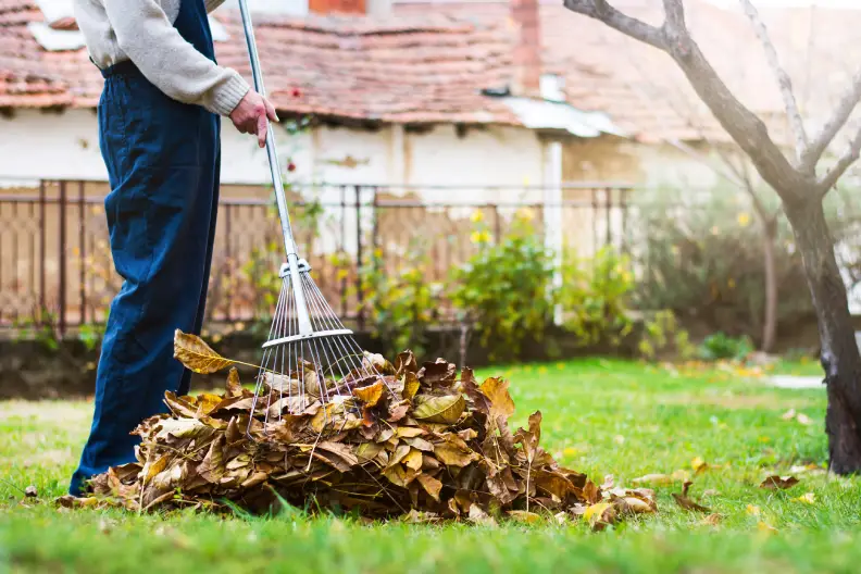 Yard Cleanup in St. George, UT